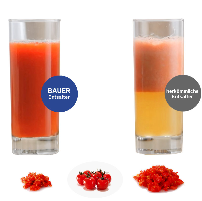 BAUER Slow Juicer HA650 Entsafter 150 W Elektrisc ~ BAUER Slow Juicer HA650 Entsafter 150 W Elektrisc ~ Entsafter Leise